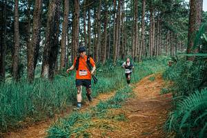 BIB: 
                            <button type="button" onclick="openModal(25750495)" class="btn btn-primary btn-sm float-right btn-popup" data-toggle="modal" data-target=".modal-high-quality">
                        <i class="fas fa-shopping-cart"></i> Add to Cart
                    </button>
                                            <button type="button" onclick="isThisMe(25750495, true)" class="btn btn-success btn-sm float-right btn-popup btn-isme hidden" data-toggle="tooltip" data-placement="bottom" title="นี่คือรูปของคุณใช่ไหม คลิกที่นี่เพื่อเอาเข้าอัลบั้ม">
                        <i class="fas fa-plus"></i> Add to album
                    </button>
                    <button type="button" onclick="isThisMe(25750495, false)" class="btn btn-warning btn-sm float-right btn-popup btn-isnotme hidden">
                        <i class="fas fa-ban"></i> Remove from album
                    </button>